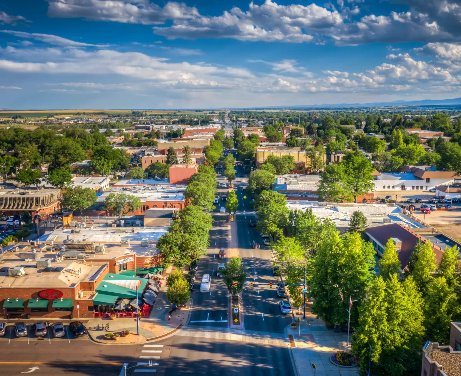 Longmont Deck Services